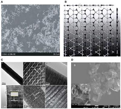 Current Applications of Gas Sensor Based on 2-D Nanomaterial: A Mini Review